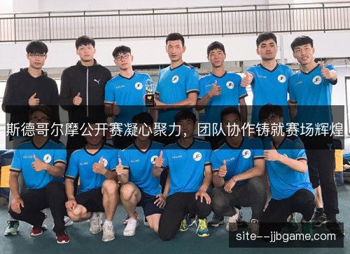 斯德哥尔摩公开赛凝心聚力,团队协作铸就赛场辉煌 斯德哥尔摩公开赛凝心聚力,团队协作铸就赛场辉煌